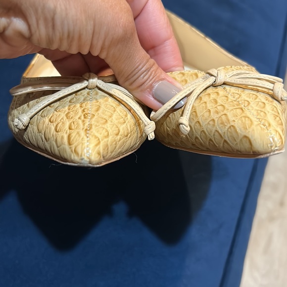 Beautiful pointed all leather ballet flat. Beige croc - textured.Made in Brazil. - Picture 3 of 4